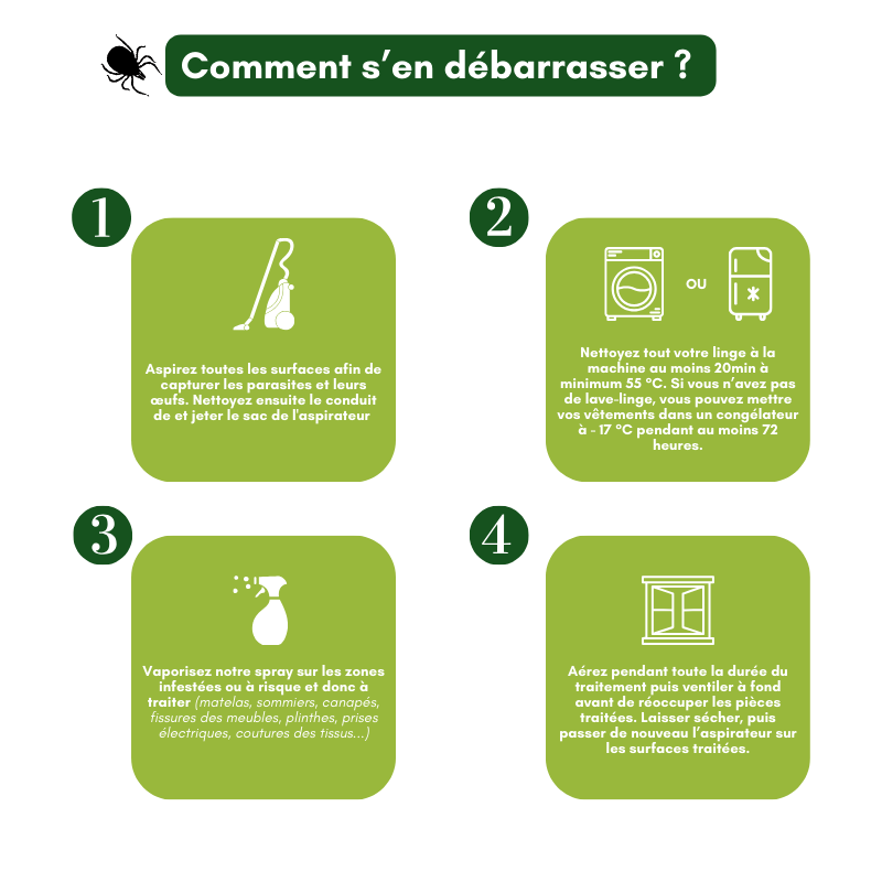 Sprays anti-punaises de lit - Lot de 2, protection efficace pour votre sommeil