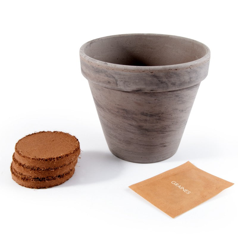 Kit de Plantation Intérieur Tomate Cerise BIO avec Pot en Terre Cuite