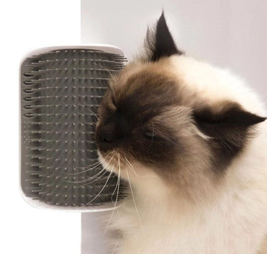 Brosse d'angle Groomer pour chats : le soin et le bonheur à la maison