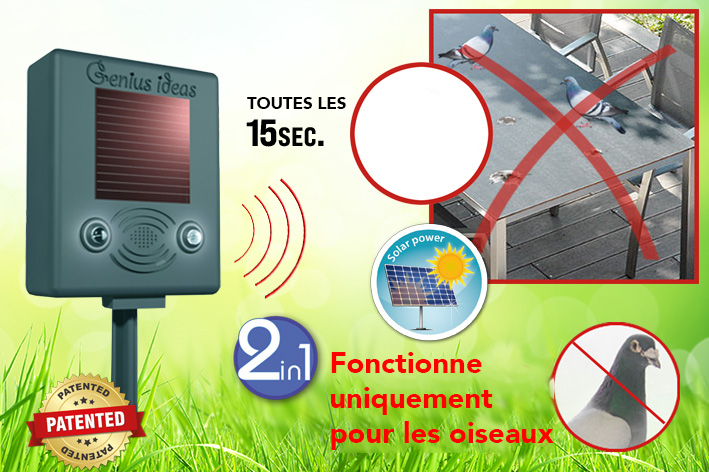 Répulsif Innovant pour Oiseaux Genius Ideas®