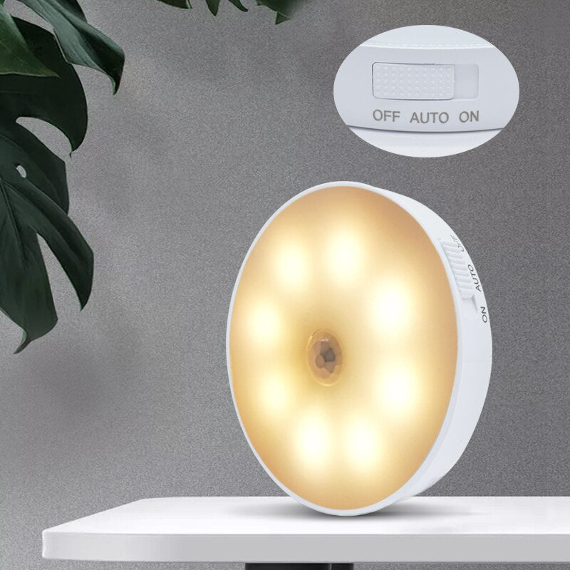 Lot de 2 Lampes LED Automatiques à Détection de Mouvement