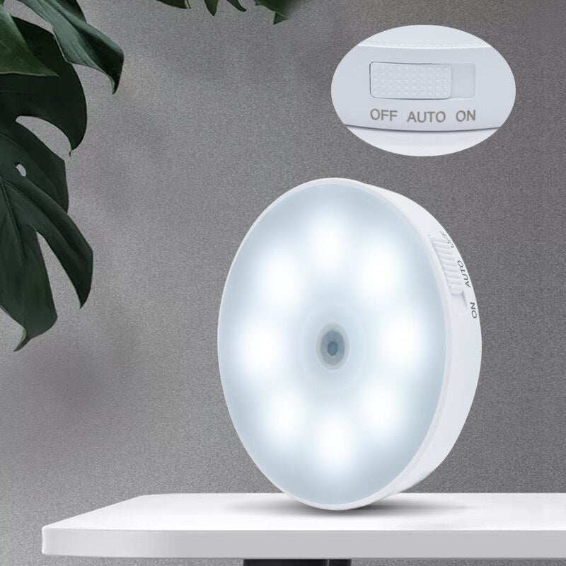 Lot de 2 Lampes LED Automatiques à Détection de Mouvement