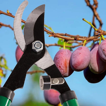 Cisailles de jardin manuelles ergonomiques pour une taille parfaite