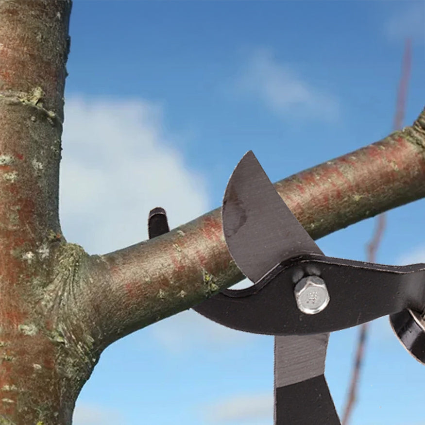 Cisailles de jardin manuelles ergonomiques pour une taille parfaite