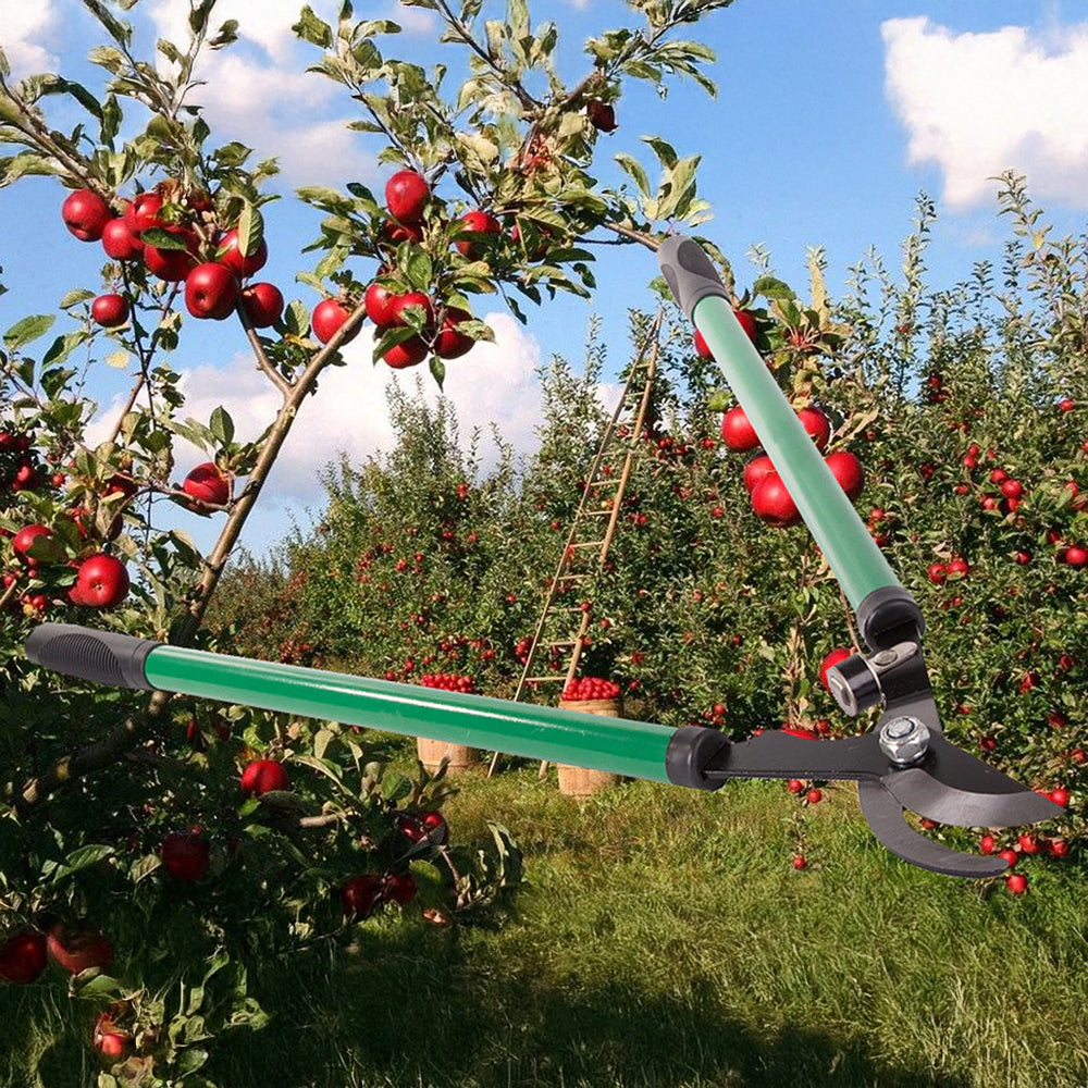 Cisailles de jardin manuelles ergonomiques pour une taille parfaite