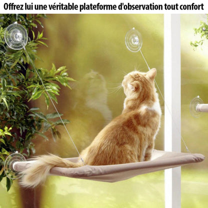 Hamac à Ventouses Cat Bed : Confort Panorama pour Chats