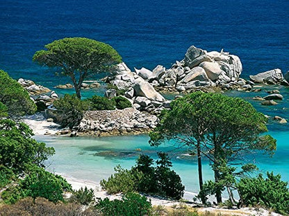 Lot de 2 Puzzles 1000 pièces : Plage de Palombaggia et Terrasse de Café de Van Gogh