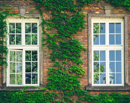 Film Miroir Teinté pour Fenêtres - Intimité et Élegance à Domicile