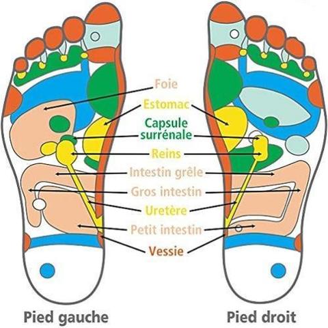 Semelles SlimFit™ : Boostez votre métabolisme naturellement