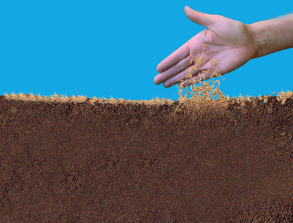 Gazon Express Professionnel - Transformez votre jardin en 10 jours !