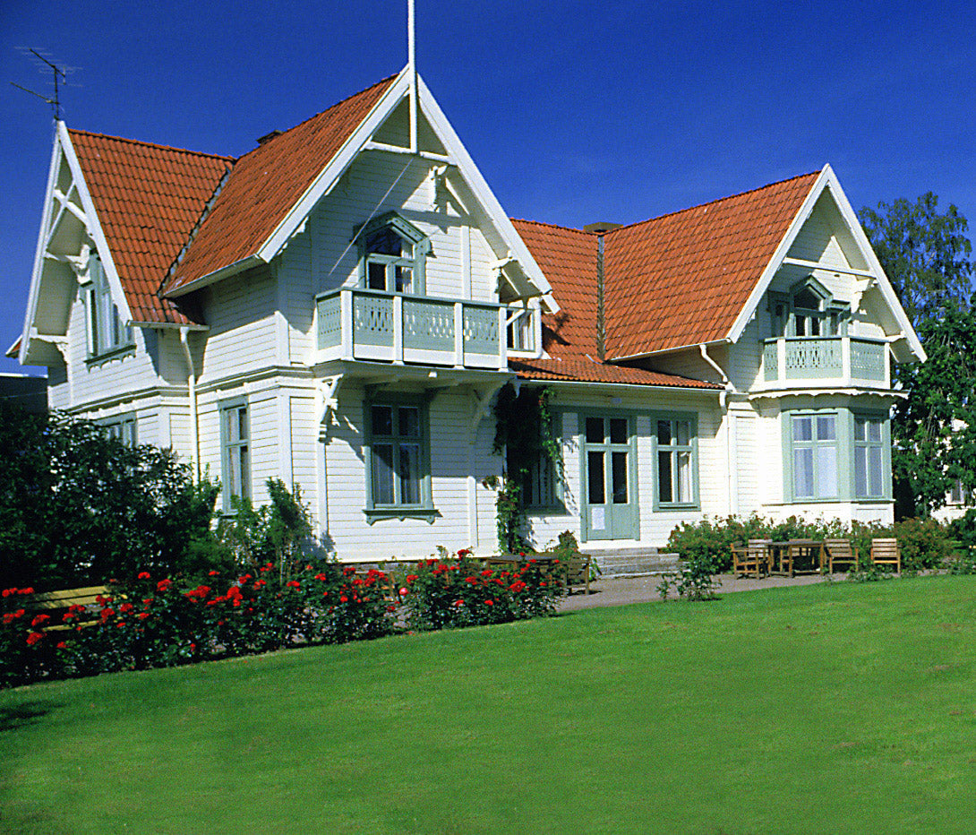 Gazon Express Professionnel - Transformez votre jardin en 10 jours !