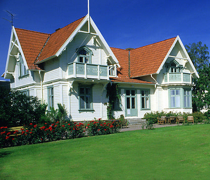 Gazon Express Professionnel - Transformez votre jardin en 10 jours !