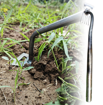 Arracheur de Mauvaises Herbes Ergonomique pour un Jardin Sain