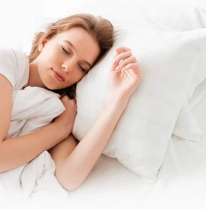 Lot de 2 Taies d'Oreiller Imperméables avec Fermeture Éclair