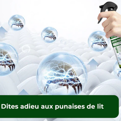 Sprays anti-punaises de lit - Lot de 2, protection efficace pour votre sommeil