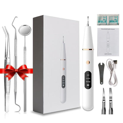 Nettoyeur Dentaire Électronique Sonic LED pour Sourire Éclatant