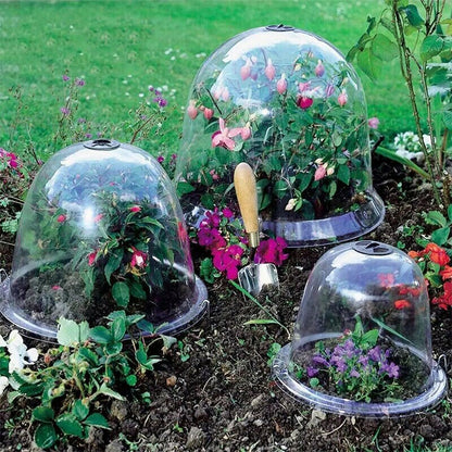 Cloches de Protection pour Plantes - Pack de 6