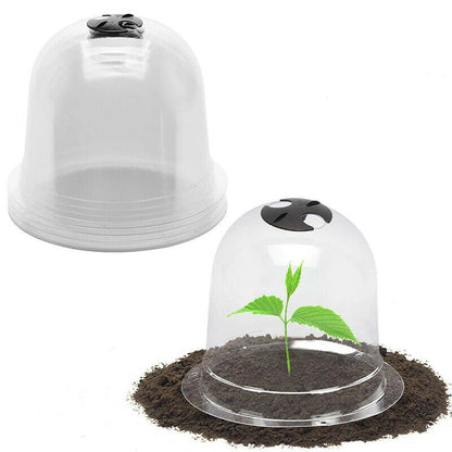 Cloches de Protection pour Plantes - Pack de 6
