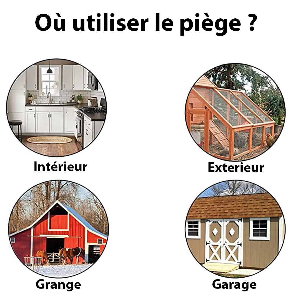 Piège à rat et souris à trappe intelligente - Solution hygiénique et efficace