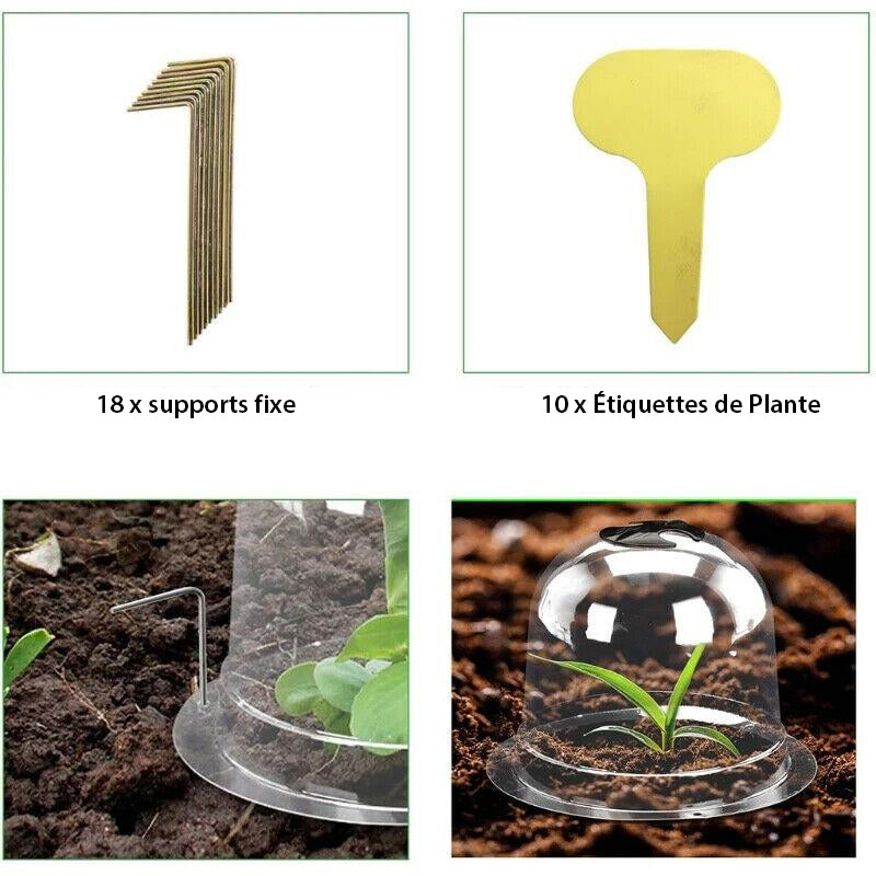 Cloches de Protection pour Plantes - Pack de 6