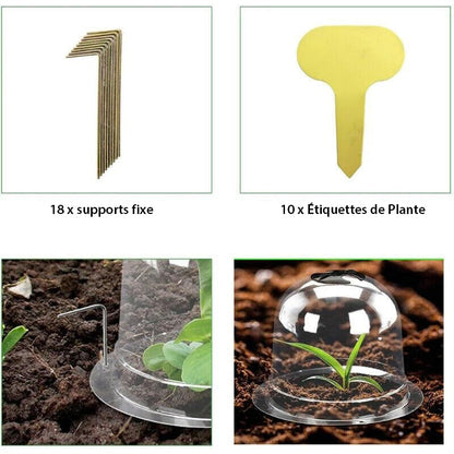 Cloches de Protection pour Plantes - Pack de 6