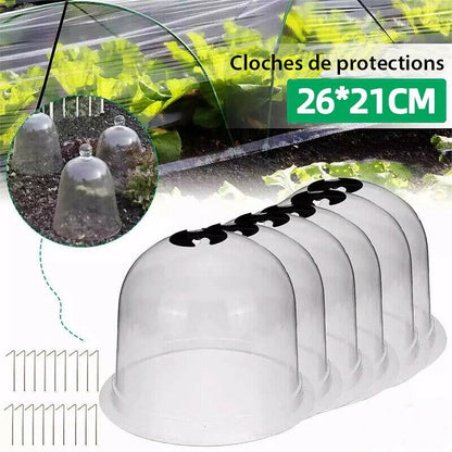 Cloches de Protection pour Plantes - Pack de 6