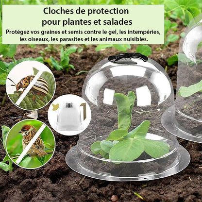 Cloches de Protection pour Plantes - Pack de 6