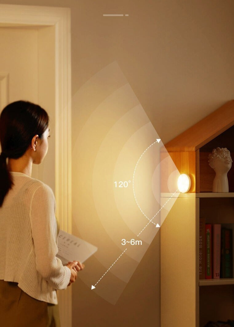 Lot de 2 Lampes LED Automatiques à Détection de Mouvement