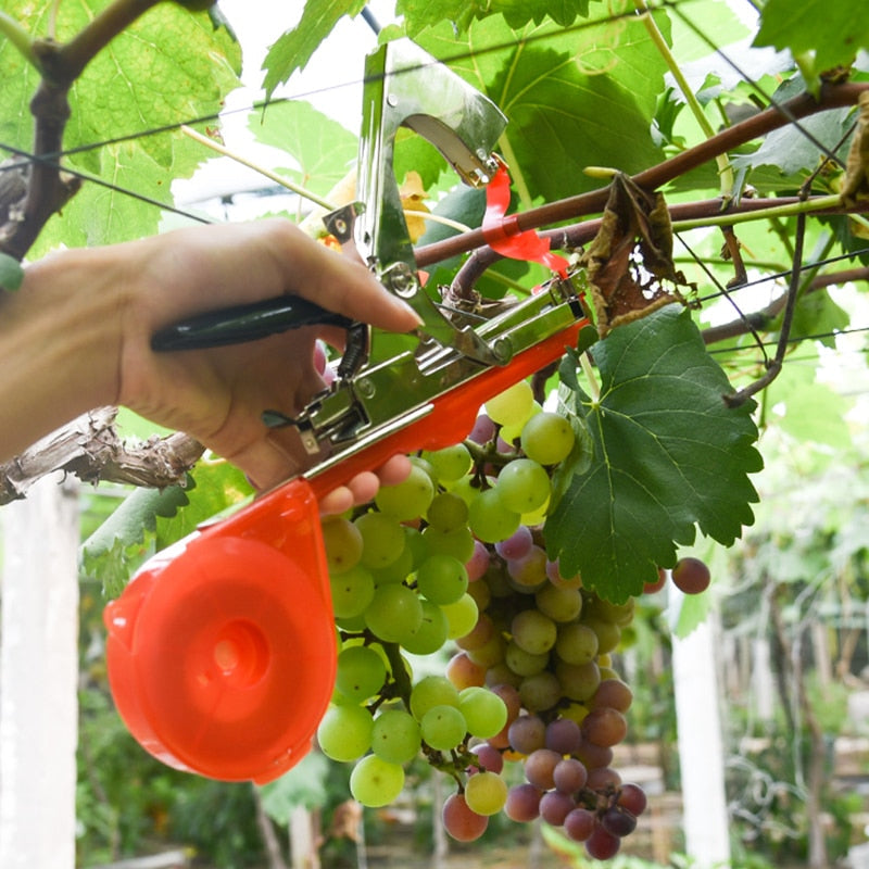 Machine à attacher les branches des plantes - Le jardinage simplifié