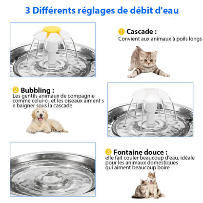 Fontaine à eau intelligente pour chiens et chats, hydratation facile
