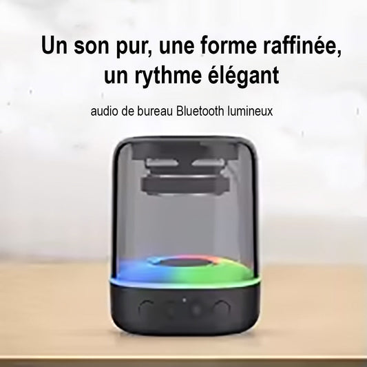 Enceinte Bluetooth Portable avec Amplificateur Puissant - Son Haute Fidélité