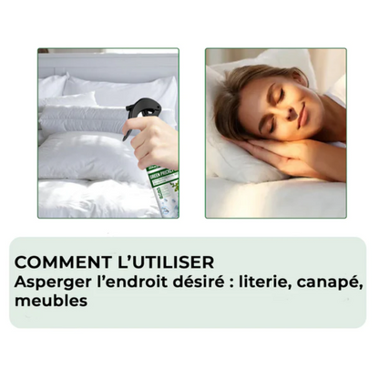 Sprays anti-punaises de lit - Lot de 2, protection efficace pour votre sommeil