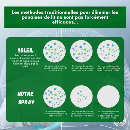 Sprays anti-punaises de lit - Lot de 2, protection efficace pour votre sommeil