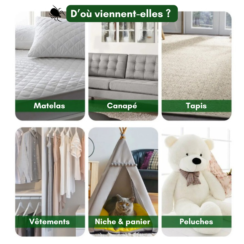 Sprays anti-punaises de lit - Lot de 2, protection efficace pour votre sommeil