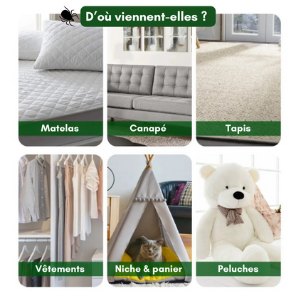 Sprays anti-punaises de lit - Lot de 2, protection efficace pour votre sommeil