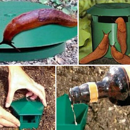 Piège Écologique à Limaces et Escargots - Protection Naturelle pour Votre Jardin