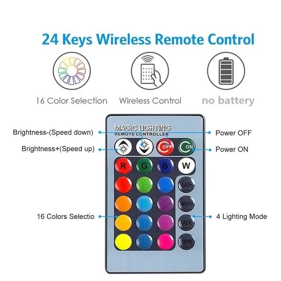 Ampoules RGB avec télécommande - Lot de 2 pour une ambiance colorée