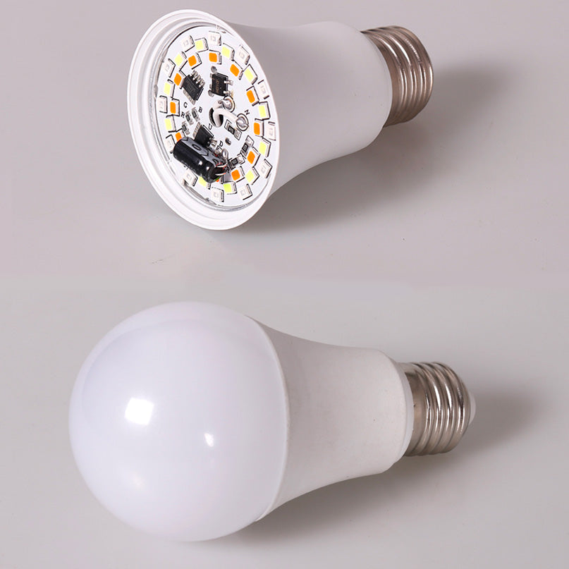 Ampoules RGB avec télécommande - Lot de 2 pour une ambiance colorée