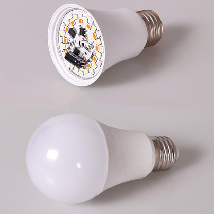 Ampoules RGB avec télécommande - Lot de 2 pour une ambiance colorée