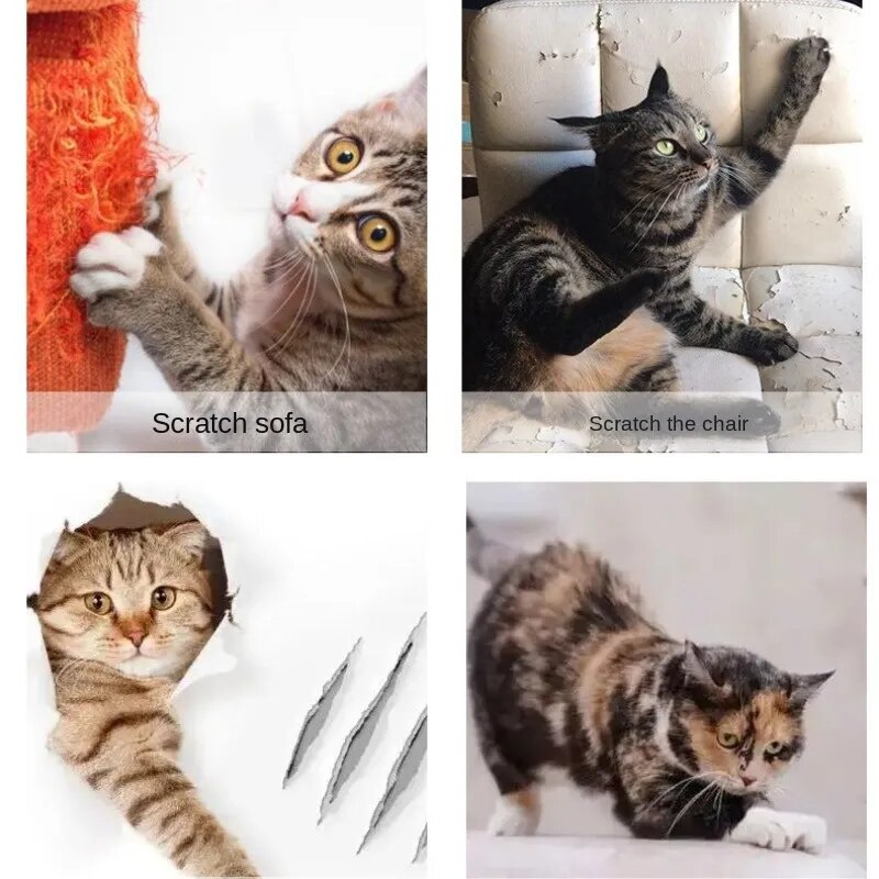 Protecteurs de meubles anti-griffures pour chats