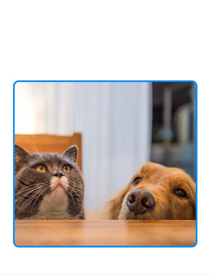 Caméra de poche NightGuard 1080P avec carte SD 16 Go et vision nocturne