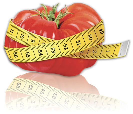 Set de 5 tomates géantes au goût d'antan - L'expérience jardinage authentique