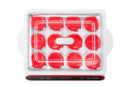 Yaourtière Fagor 12 Pots avec Écran LED – Créez des Yaourts Maison Délicieux