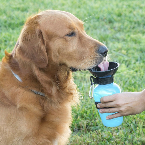 Bouteille Abreuvoir Portable pour Chiens - Hydratation Pratique et Élégante