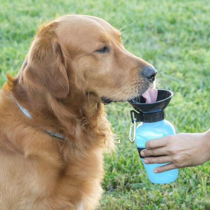 Bouteille Abreuvoir Portable pour Chiens - Hydratation Pratique et Élégante