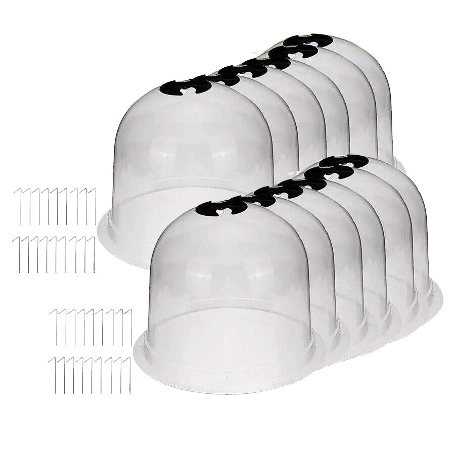 Cloches de Protection pour Plantes - Pack de 6