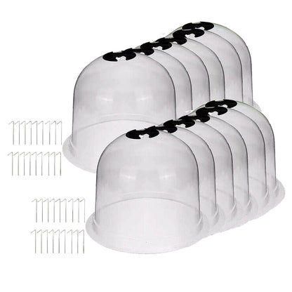 Cloches de Protection pour Plantes - Pack de 6