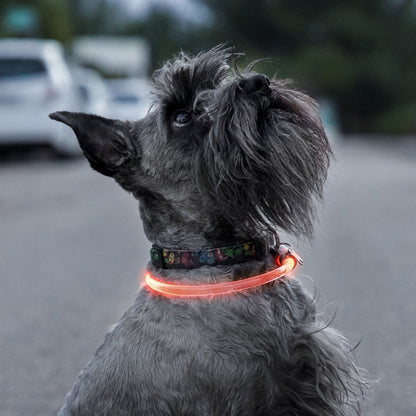 Collier LED lumineux pour animaux - Sécurité maximale et visibilité nocturne