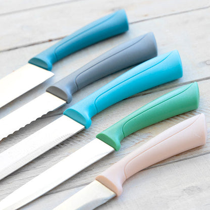 Ensemble de Couteaux de Cuisine Premium en Acier Inoxydable - 5 Pièces Élégantes