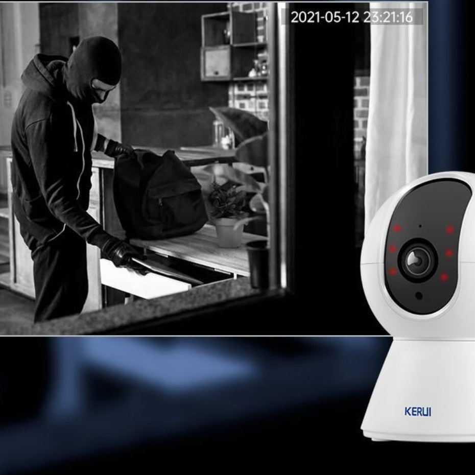 Caméra de surveillance WIFI pour animaux et sécurité à domicile